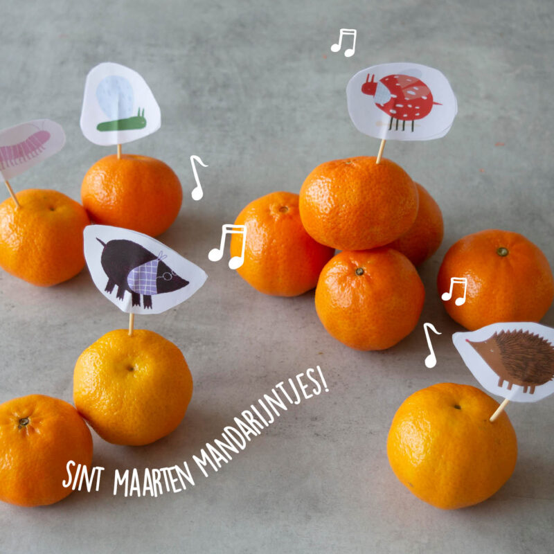 sint maarten mandarijntjes
